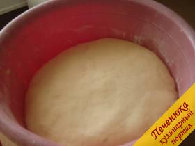 3) Когда тесто увеличится в объеме в 2,5-3 раза, вымесим его еще раз и начнем формовать пирог.