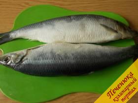 1) А готовить домашнюю селедку очень просто. Нужно просто выдержать рыбу в маринаде 3-4 дня. Рыбку желательно выбрать потолще, пожирнее. 
