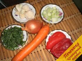 Кабачок (1 штука), цветная капуста (250 грамм), морковь (1 штука), лук (1 штука), болгарский перец (1 штука), зелень, соль (по вкусу)