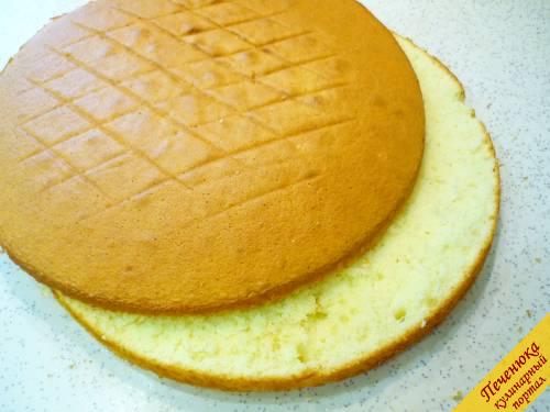 10) Разрезаем на две части, пропитываем, смазываем кремом, в общем пускаем бисквитные коржи для торта по назначению. 