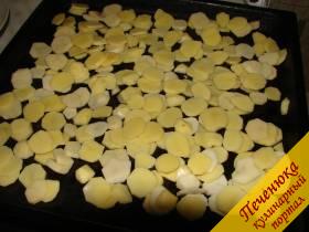 1) Мелкий картофель почистить, нарезать тонкими кружочками, уложить на смазанный растительным маслом противень.