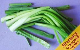 4) Перья зеленого лука вымыть, мелко нарезать. Чтобы лук быстрее сварился в щах, его можно слегка ошпарить кипятком перед закладкой в суп.